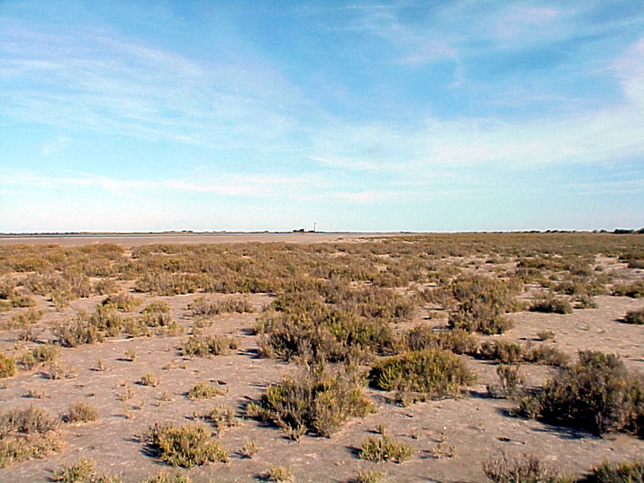 2004-08 Céline Camargue 017.JPG
